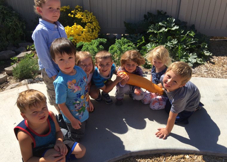 Growing Light Montessori School
